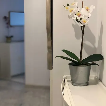 Appartement Apartamento Sun&mar *